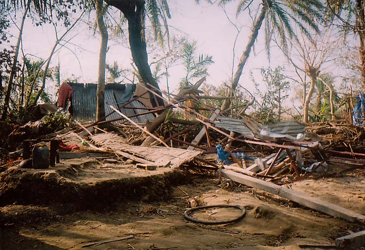 All that remains of a family homestead after Cyclone Sidr hits - a tangle of trees, wooden beams and iron sheet roofing